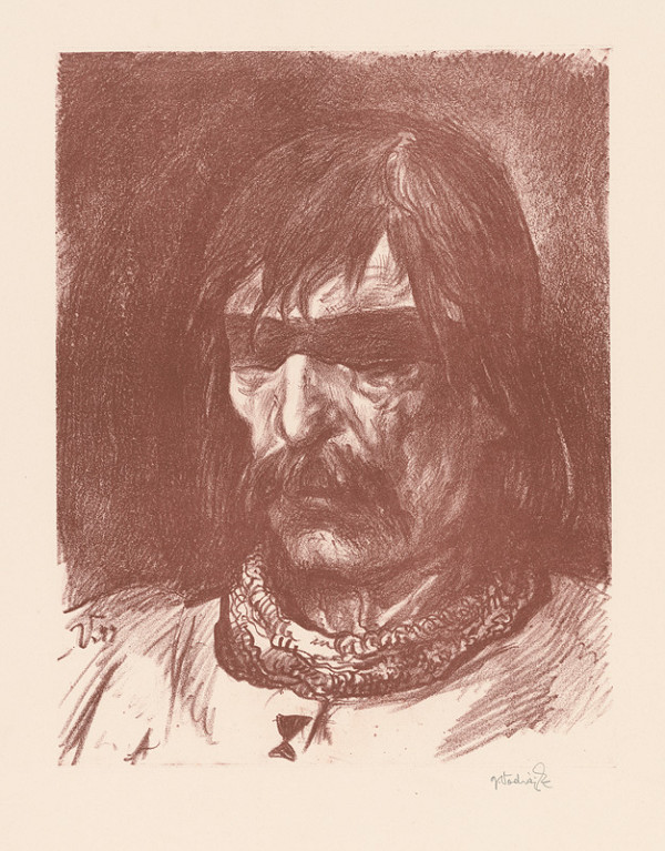 Jaroslav Vodrážka – Jan Žižka z Trocnova 