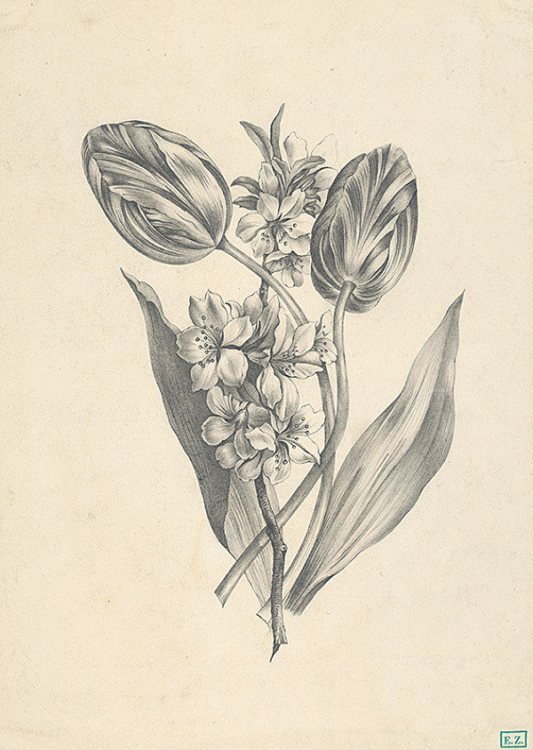 Ignác Klimkovič – Kvety 