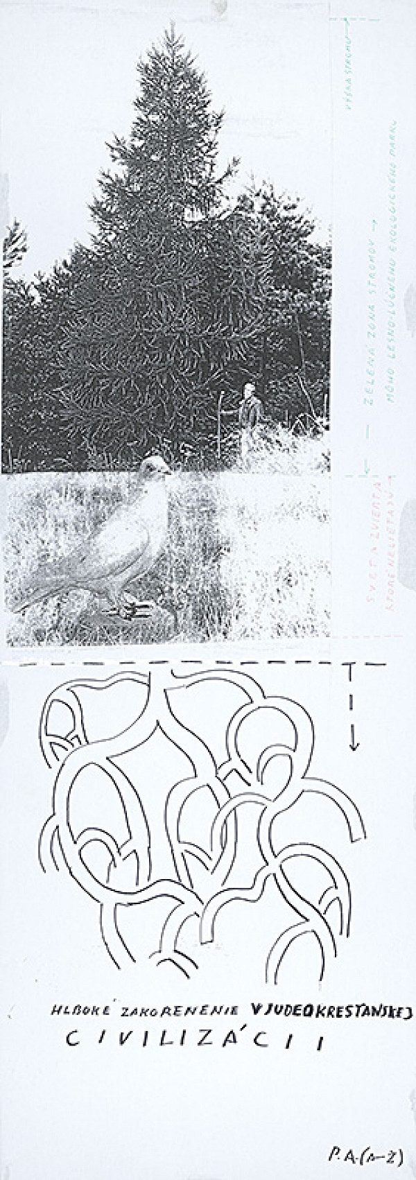 Peter Bartoš – Strom rastie 