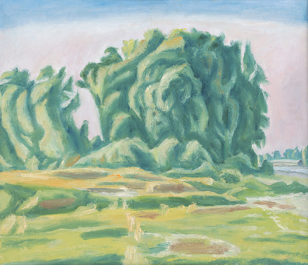 Ernest Zmeták – Podunajská krajina 