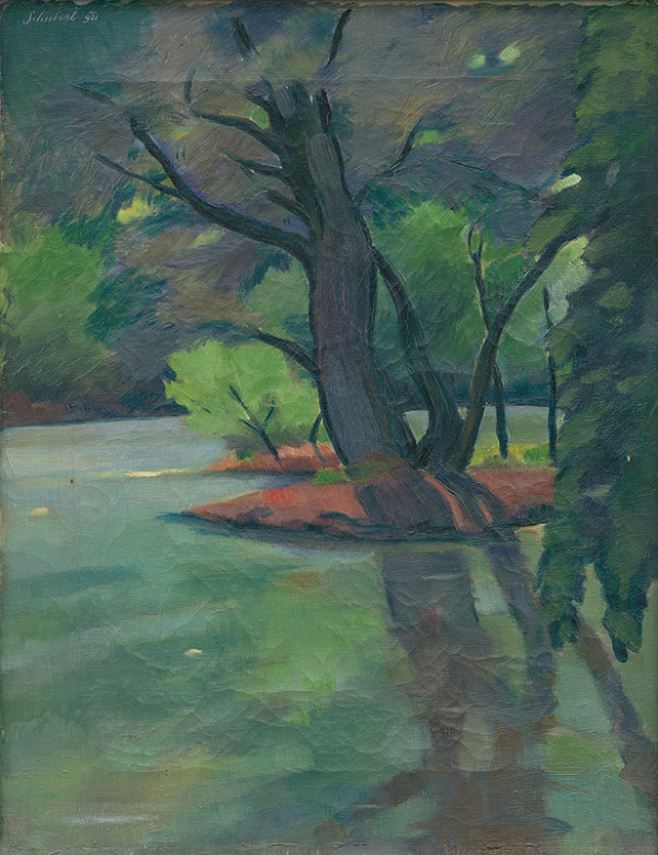 Július Schubert – Mŕtve rameno Dunaja 