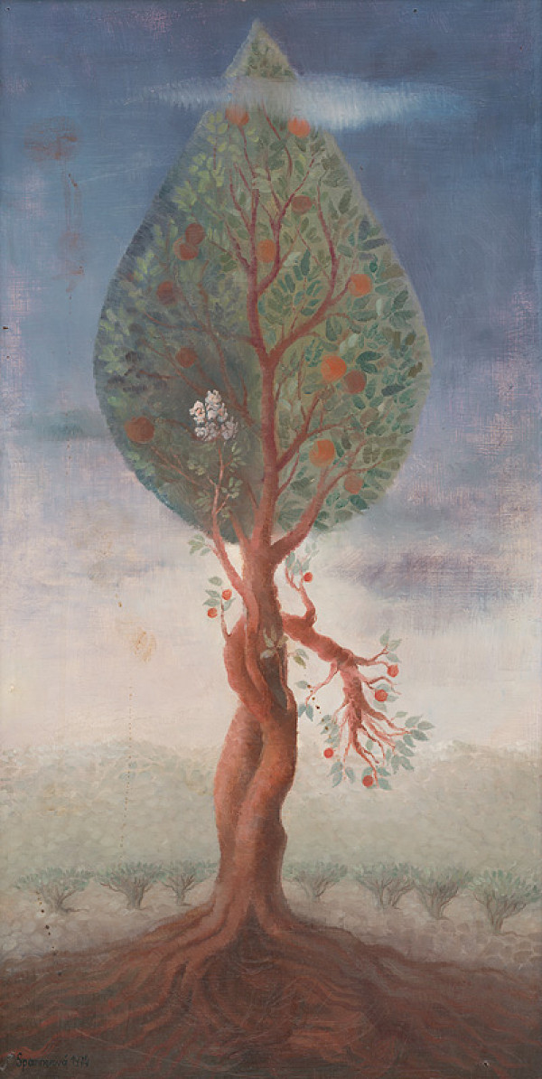 Edita Spannerová – Život 