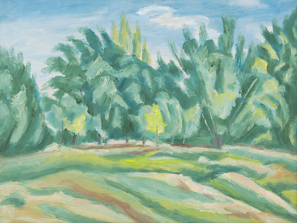 Ernest Zmeták – Stromy v Petržalke 