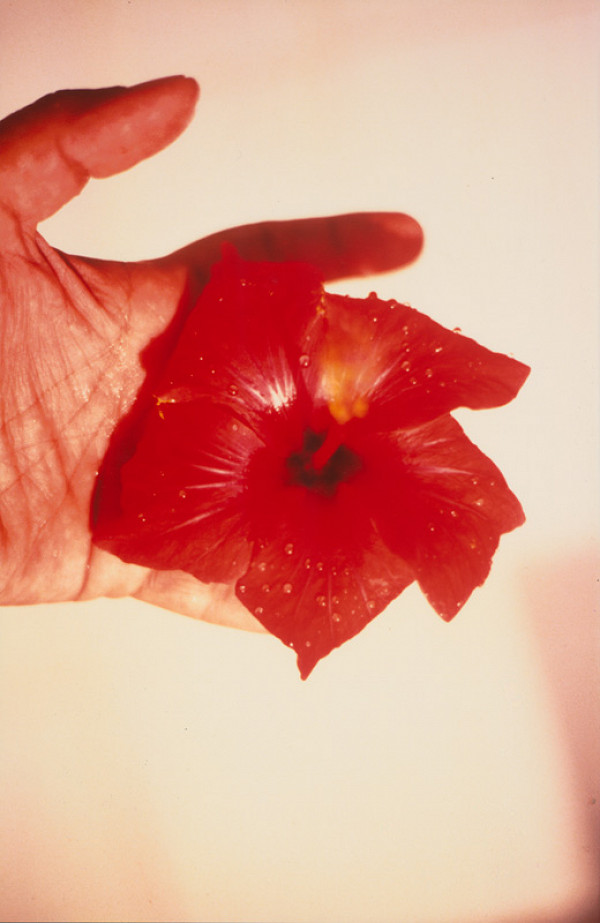 Robert Vano – Bez názvu 