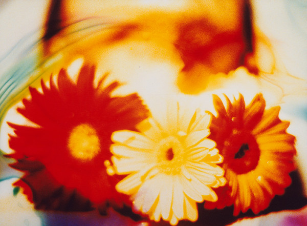 Robert Vano – Bez názvu 