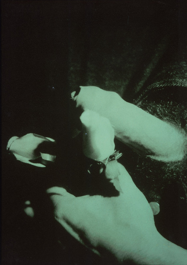 Robert Vano – Bez názvu