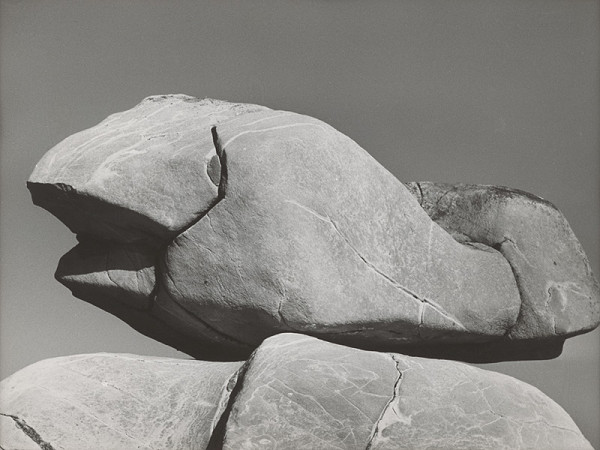 Martin Martinček – Ryba 