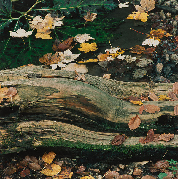 Martin Martinček – Hora, cyklus farebných fotografií, 11 ks 
