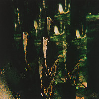 Martin Martinček – Hora, cyklus farebných fotografií, 11 ks 