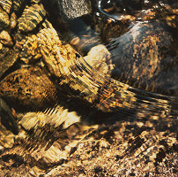 Martin Martinček – Horské bystriny, cyklus farebných fotografií, 10 ks 