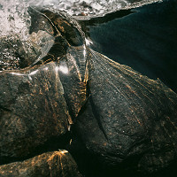 Martin Martinček – Horské bystriny, cyklus farebných fotografií, 10 ks 