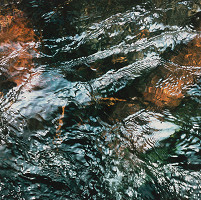 Martin Martinček – Horské bystriny, cyklus farebných fotografií, 10 ks 