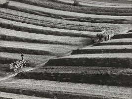 Martin Martinček – Liptov cyklus čiernobielych fotografií 15ks 