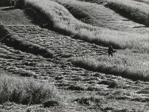 Martin Martinček – Liptov cyklus čiernobielych fotografií 15ks 
