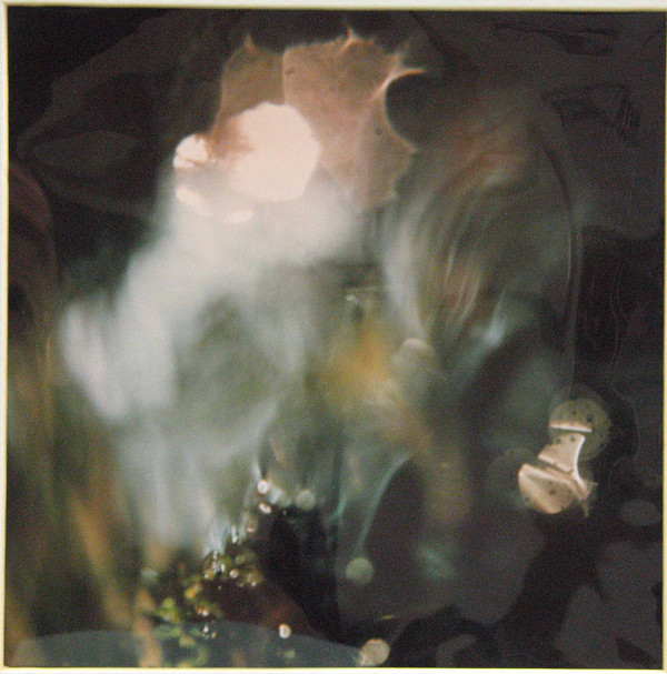 Martin Martinček – Chvála slnka, cyklus farebných fotografií 10 ks 