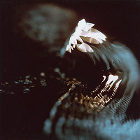 Martin Martinček – Chvála slnka, cyklus farebných fotografií 9ks 