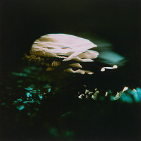 Martin Martinček – Chvála slnka, cyklus farebných fotografií 9ks 