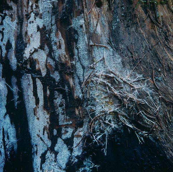 Martin Martinček – Tajomstvo hory,  z cyklu farebných fotografií, 15 ks 