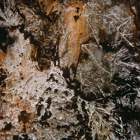 Martin Martinček – Tajomstvo hory (Zátišie so ženou) z cyklu farebných fotografií, 15 ks 