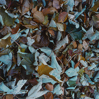 Martin Martinček – Farby hôr, cyklus farebných fotografií, 20 ks 