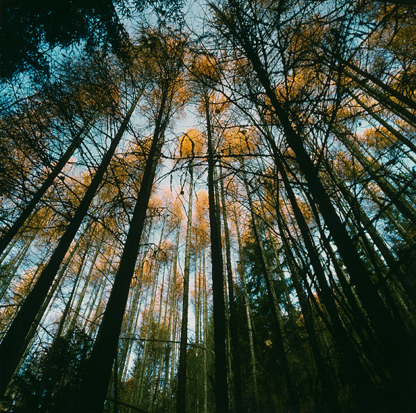 Martin Martinček – Farby hôr, cyklus farebných fotografií, 20 ks 