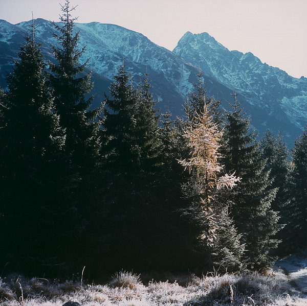 Martin Martinček – Farby hôr, cyklus farebných fotografií, 20 ks 