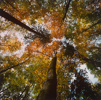Martin Martinček – Farby hôr, cyklus farebných fotografií, 20 ks 