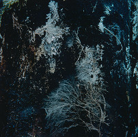 Martin Martinček – Kompozícia v modrom z cyklu Tajomstvo hory 