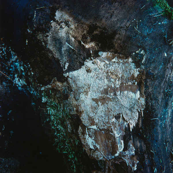 Martin Martinček – Kompozícia v modrom II. z cyklu Tajomstvo hory 