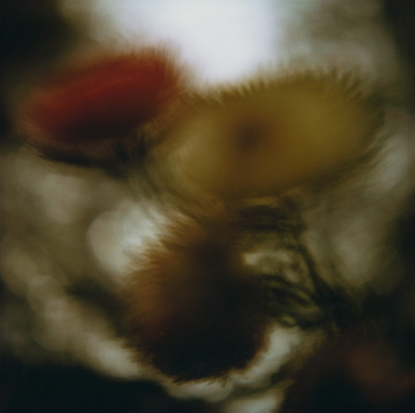 Martin Martinček – Rozkvitnutý deň I. 