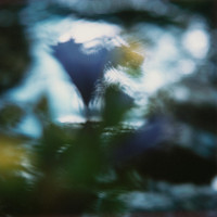 Martin Martinček – Rozkvitnutý deň II. 