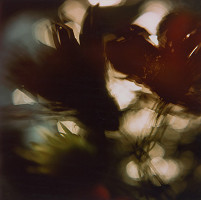 Martin Martinček – Rozkvitnutý deň III. 