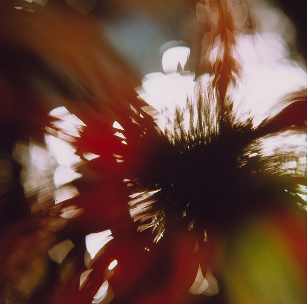 Martin Martinček – Rozkvitnutý deň VII. 