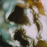 Martin Martinček – Rozkvitnutý deň IX. 