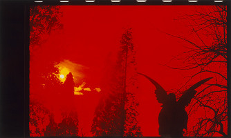 Miroslav Zeman – Bez názvu 