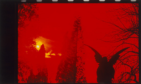 Miroslav Zeman – Bez názvu