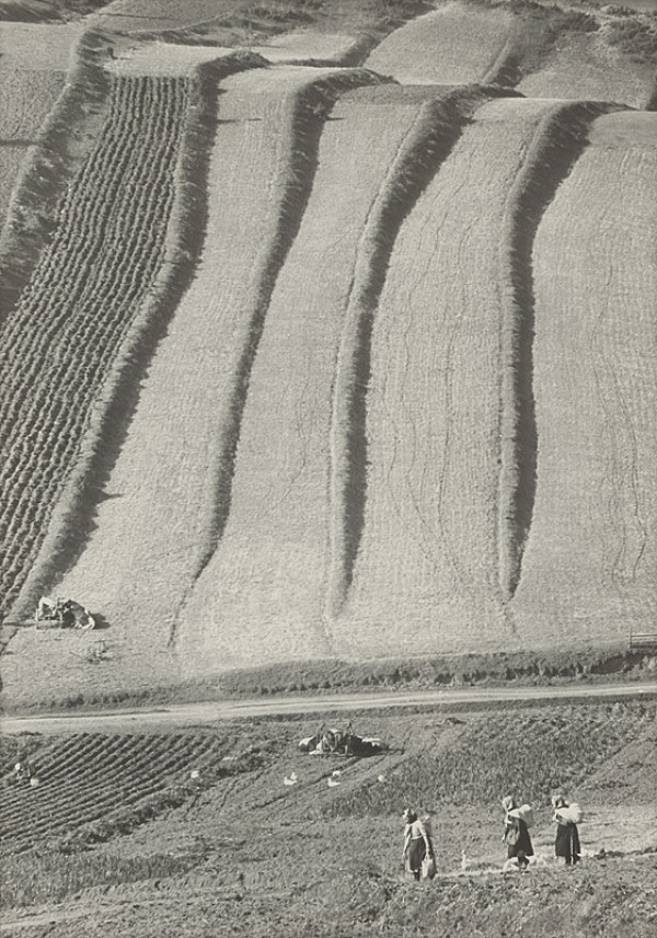 Martin Martinček – S obedom do poľa 