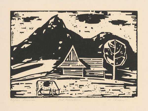 Martin Tvrdoň – Pod Rozsutcom 