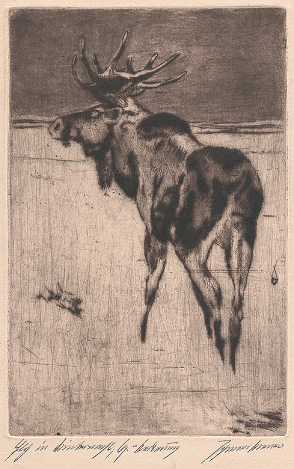 Johannes Brauer – Elch in Winternacht 