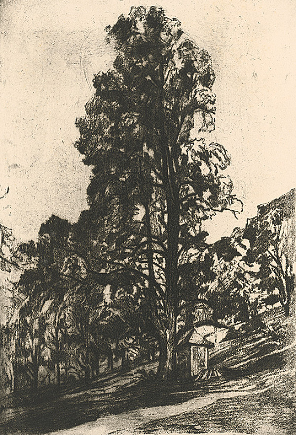 Viktor Hermély – Stromy 