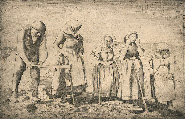 Viktor Hermély – Okopávanie 