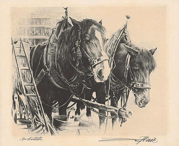 Nemecký grafik z 19. storočia – Záprah 