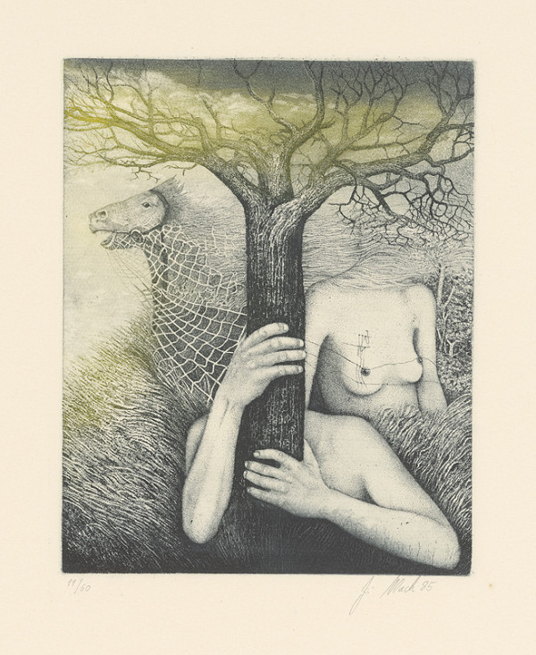 Jiří Vlach – Perseus a Andromeda 