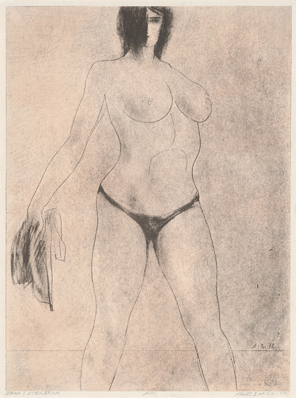 Andrej Barčík – Zena s uterákom 