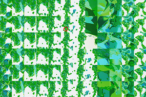 Ján Ťupek – Počítačová animácia 