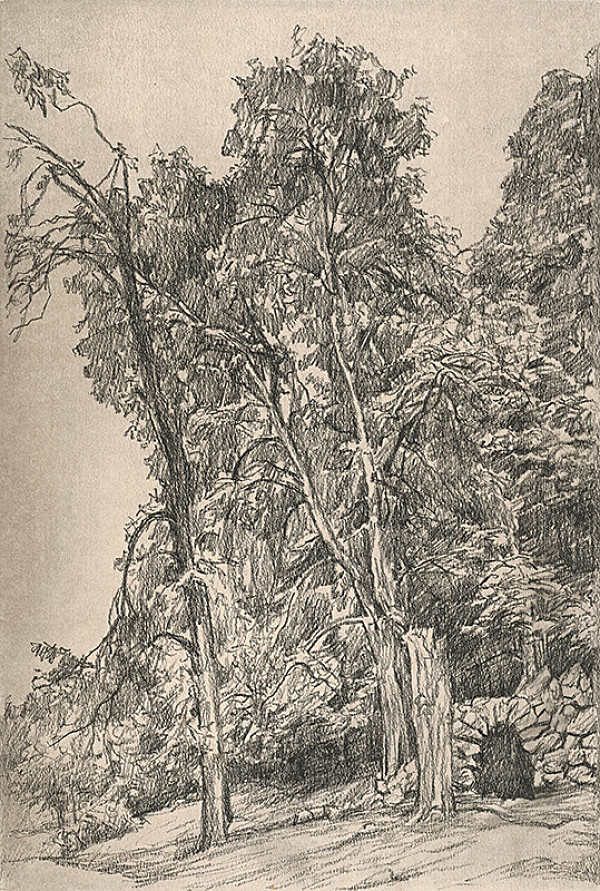 Viktor Hermély – Liečebný prameň 