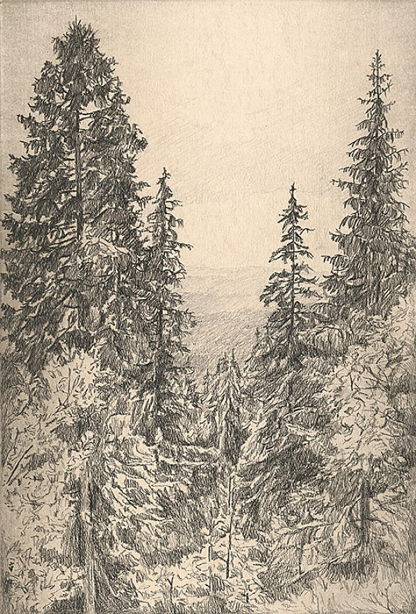 Viktor Hermély – Lesná partia 