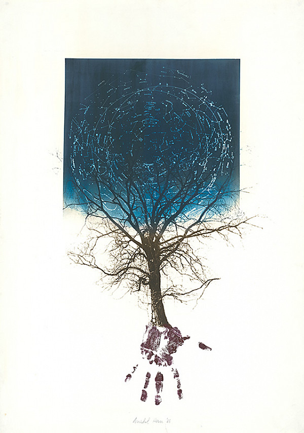 Michal Kern – Strom - obloha 