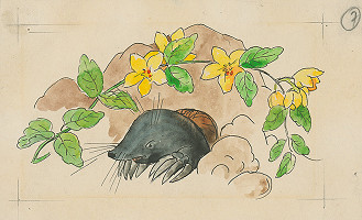 Karol Ondreička – V úkryte 