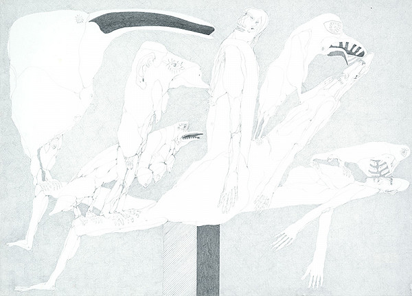 Agneša Sigetová – Zmätok 